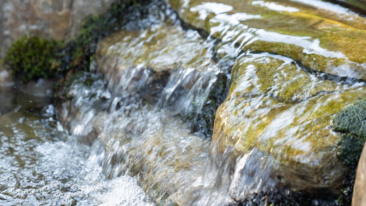 Photo of Others in Southern Coast
