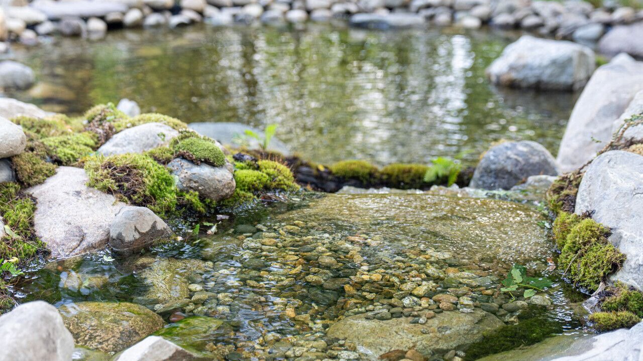 Photo of Others in Southern Coast