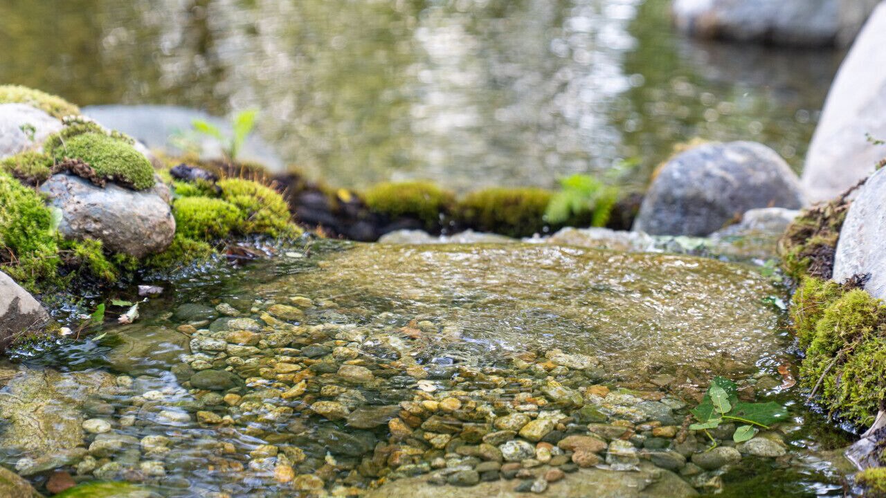 Photo of Others in Southern Coast