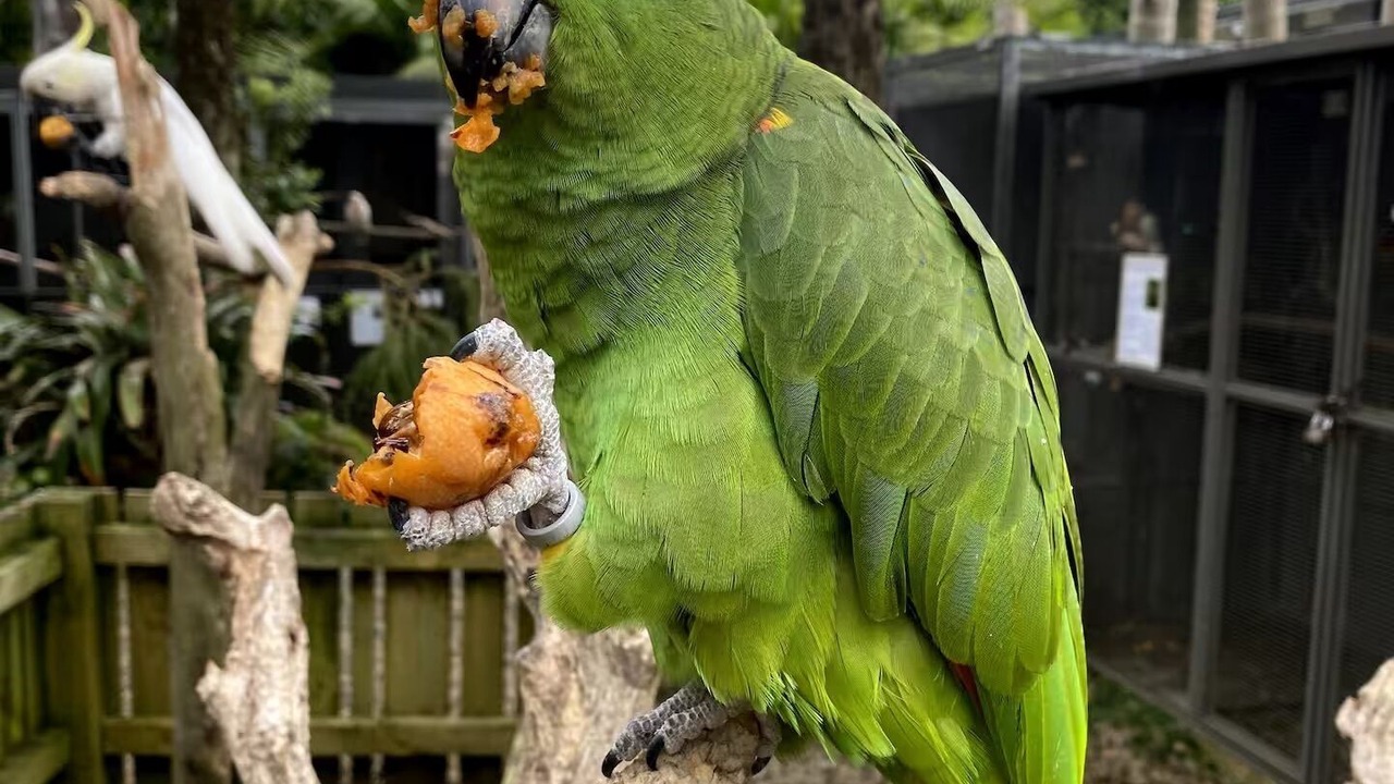 Photo of Outdoor in Kerikeri