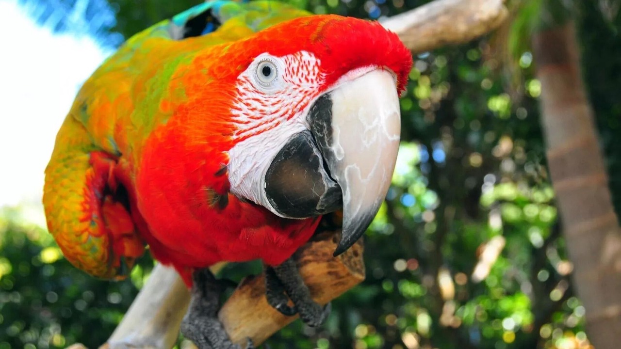 Photo of Outdoor in Kerikeri