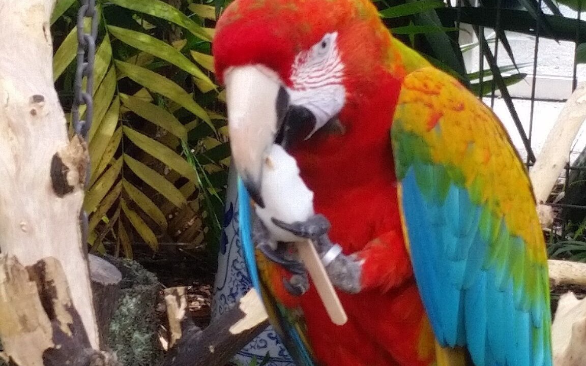 Photo of Others in Kerikeri