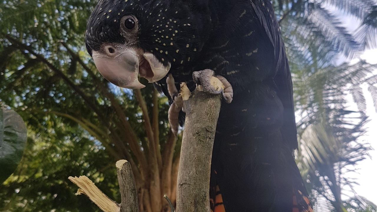 Photo of Others in Kerikeri