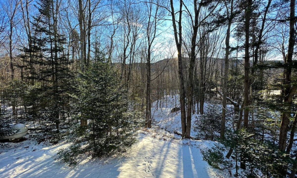 Photo of Others in Montgomery Center