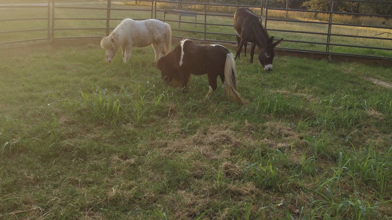 Photo of Others in Hill County