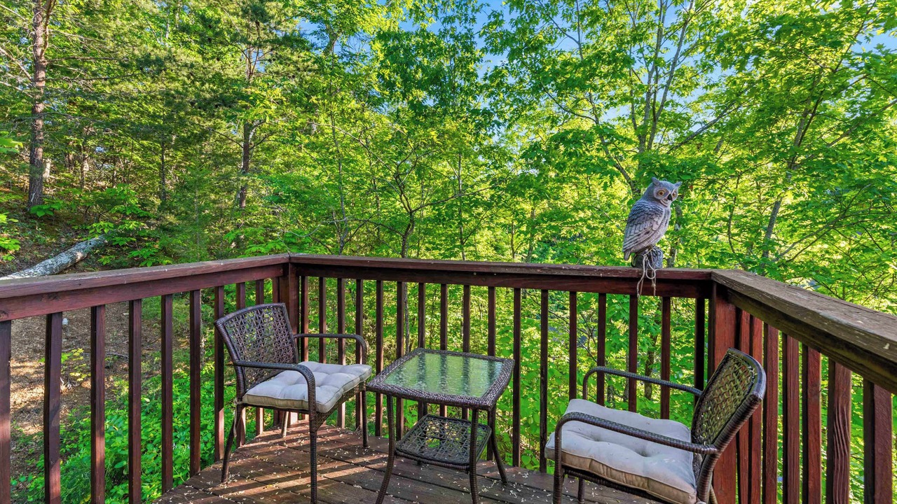 Photo of Patio Balcony in Sevierville