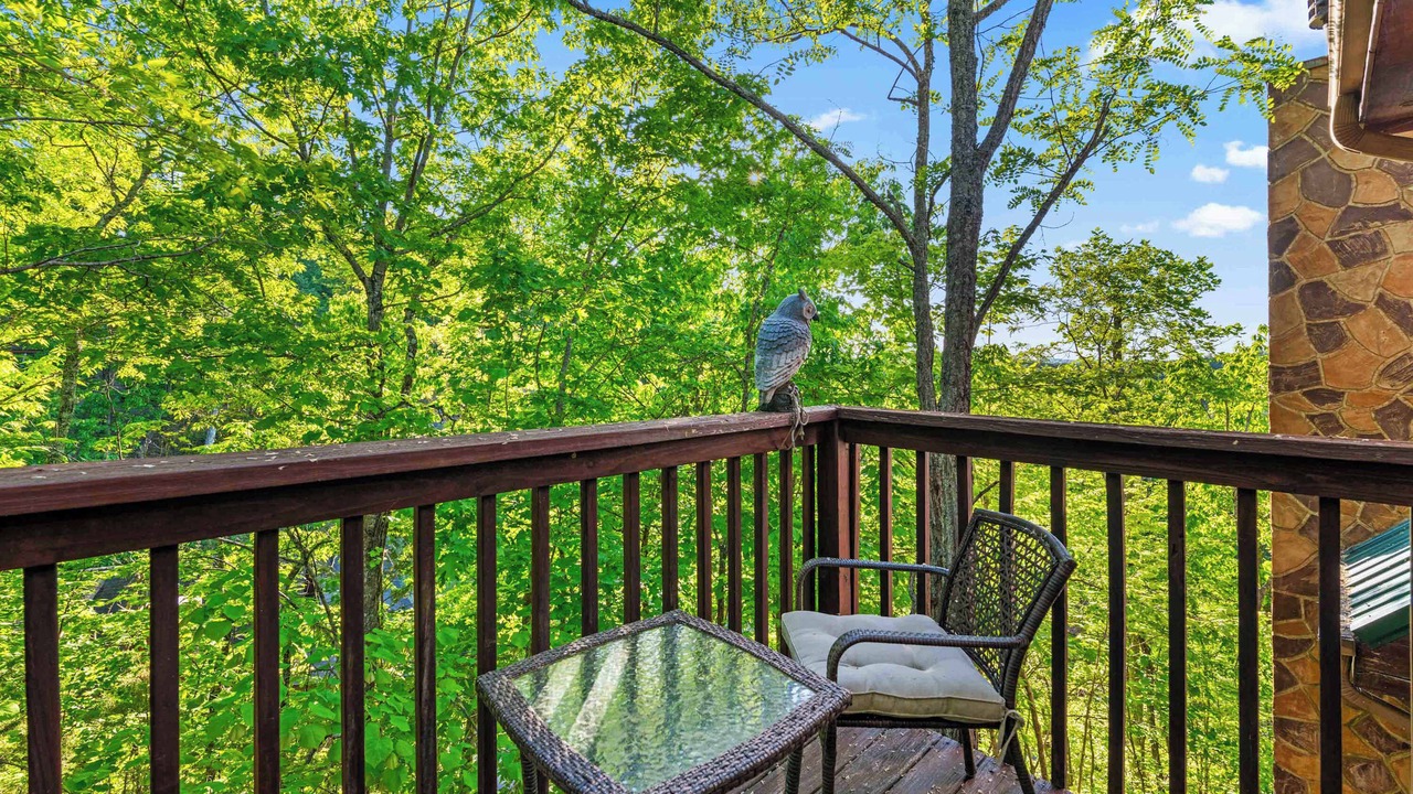 Photo of Patio Balcony in Sevierville