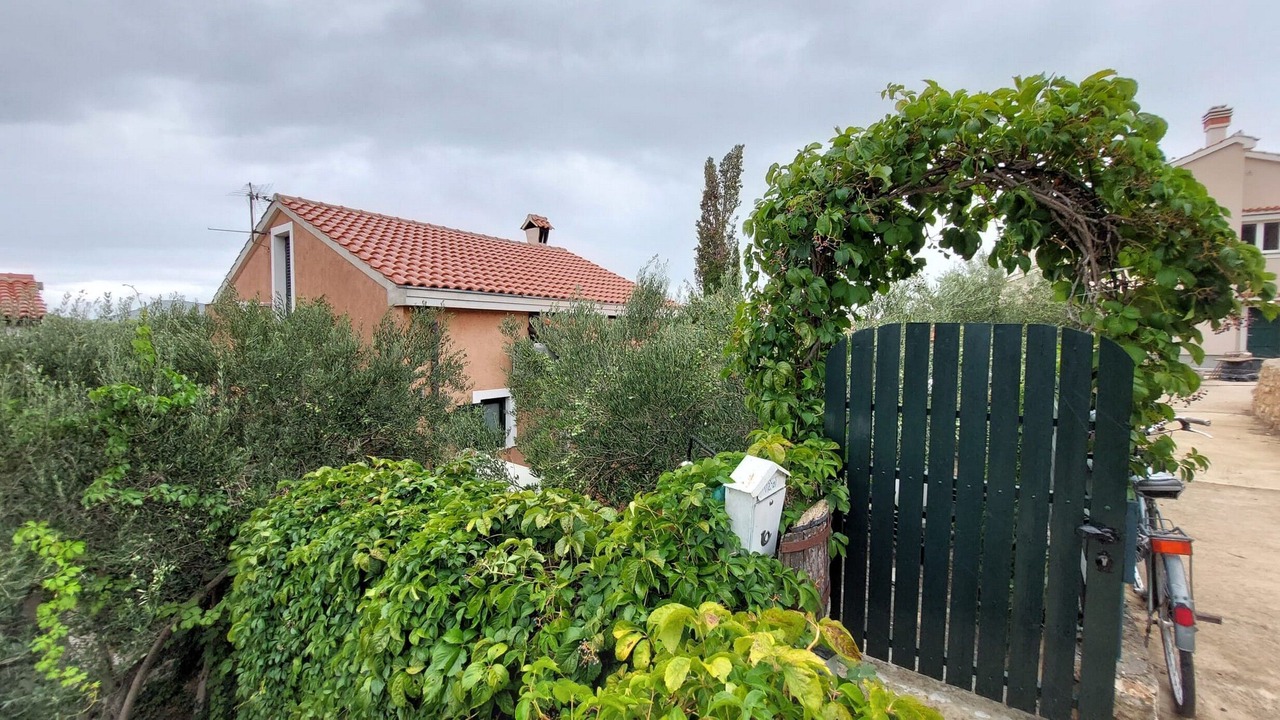 Photo of Outdoor in Prvic Luka