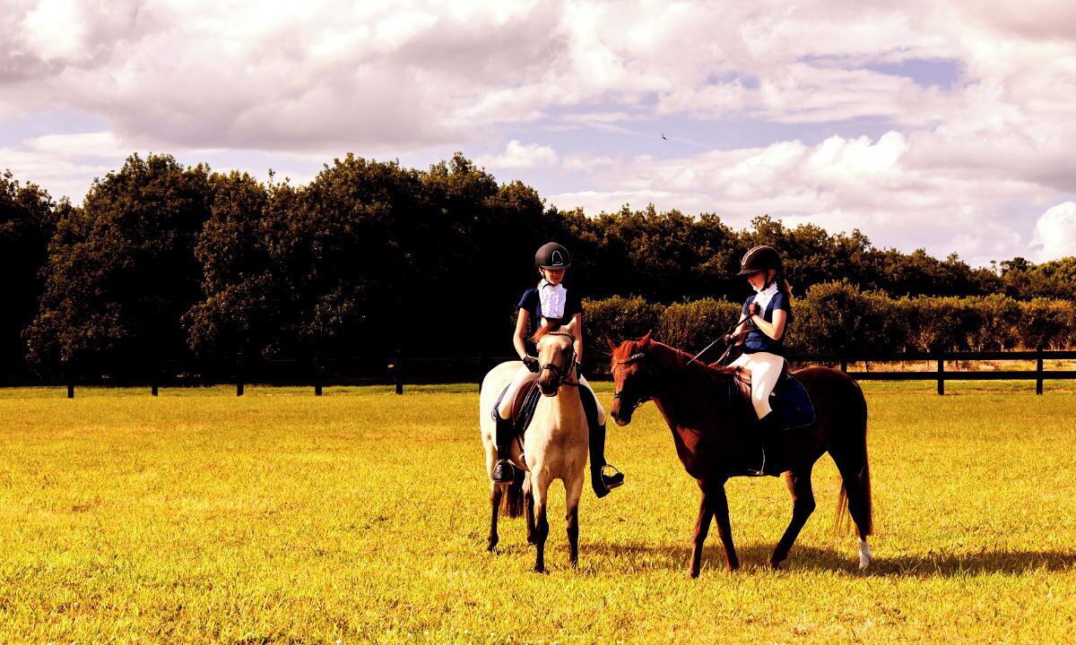 Photo of Others in Nashua