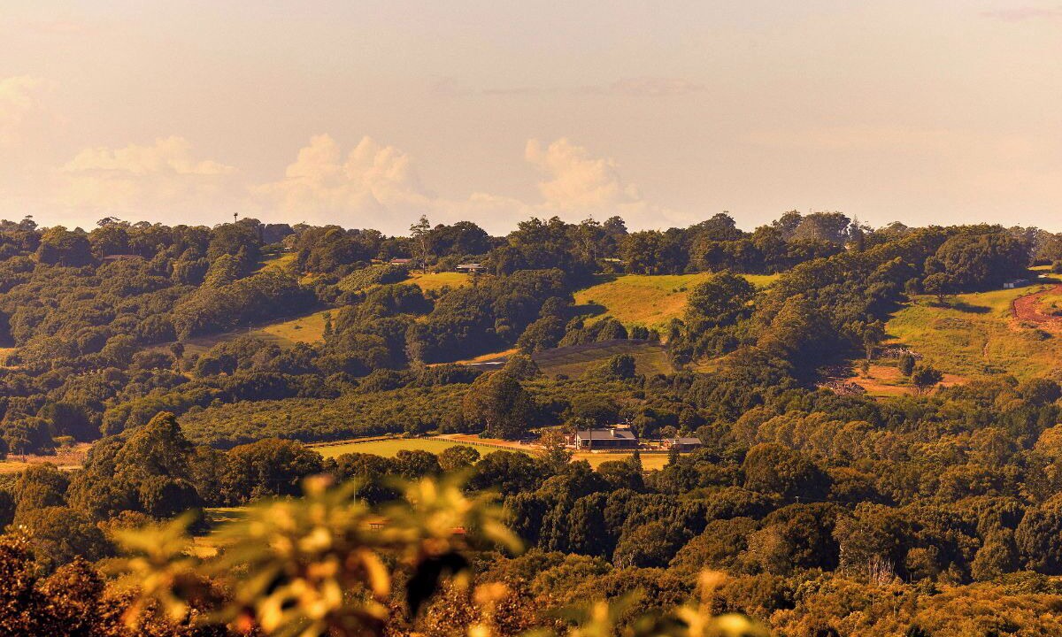 Photo of Outdoor in Nashua