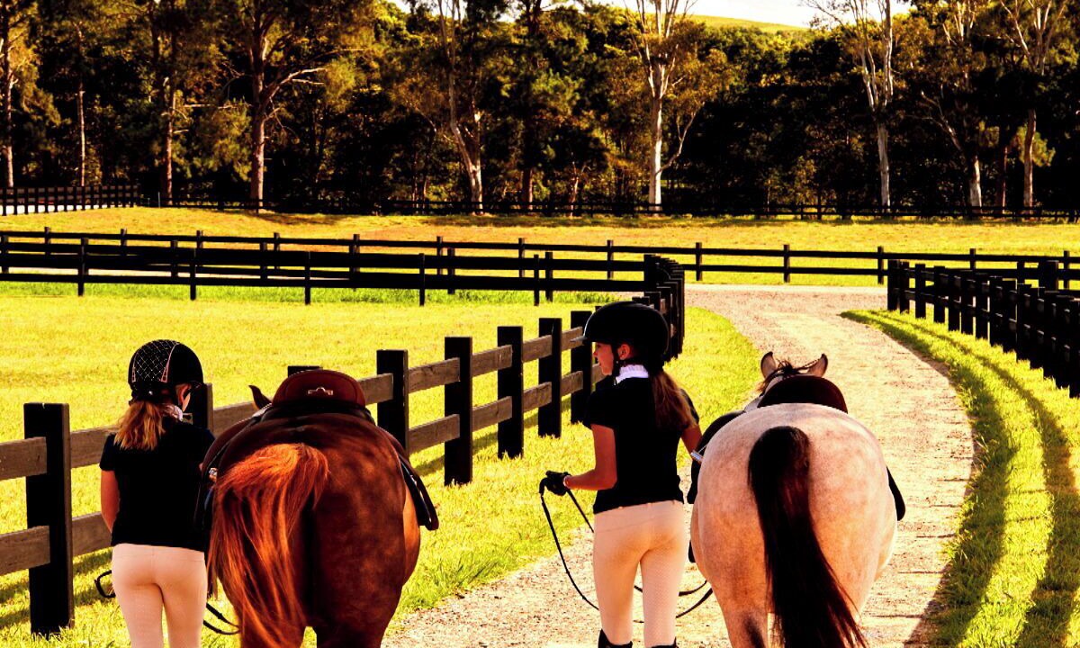 Photo of Outdoor in Nashua