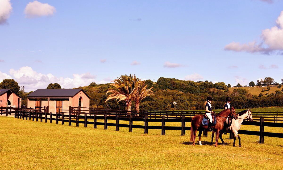 Photo of Outdoor in Nashua