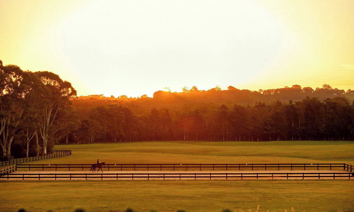 Photo of Outdoor in Nashua