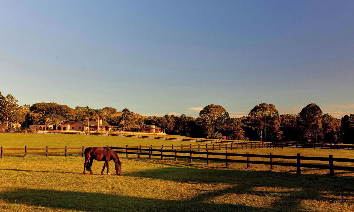 Photo of Others in Nashua