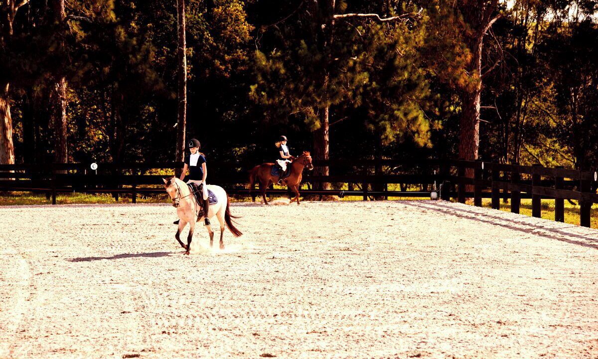 Photo of Others in Nashua