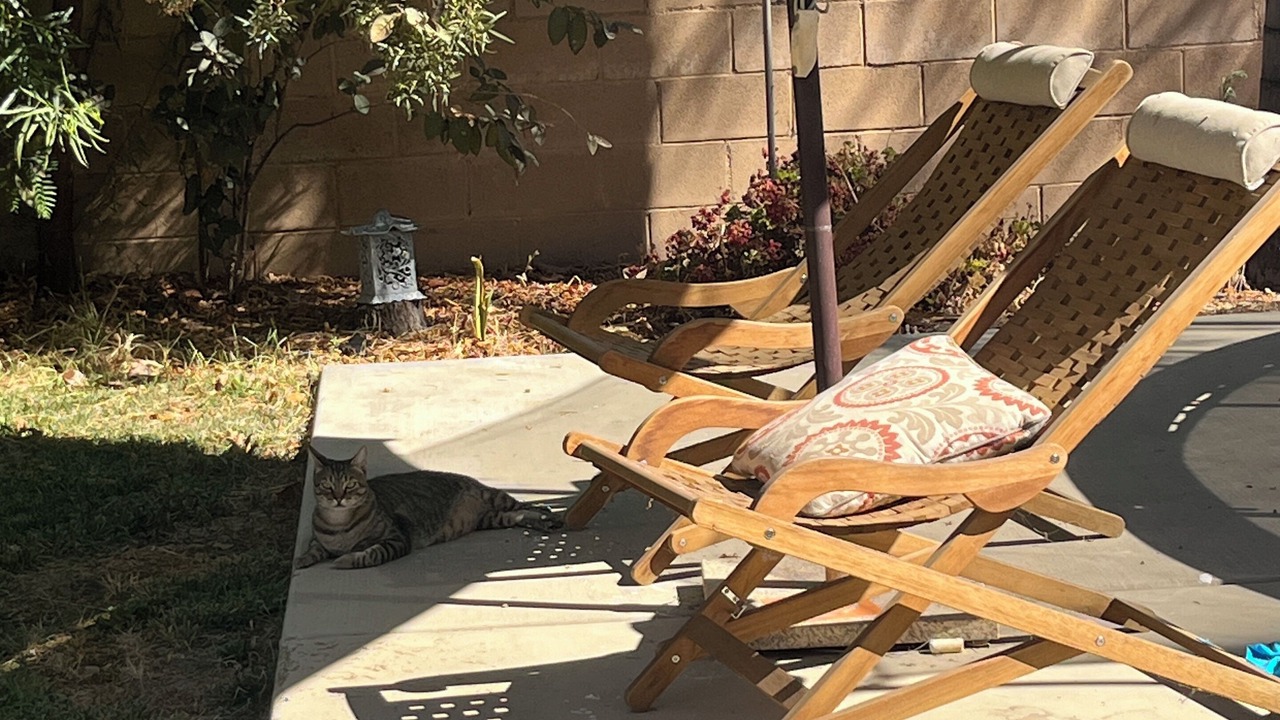 Photo of Patio Balcony in Canyon Lake
