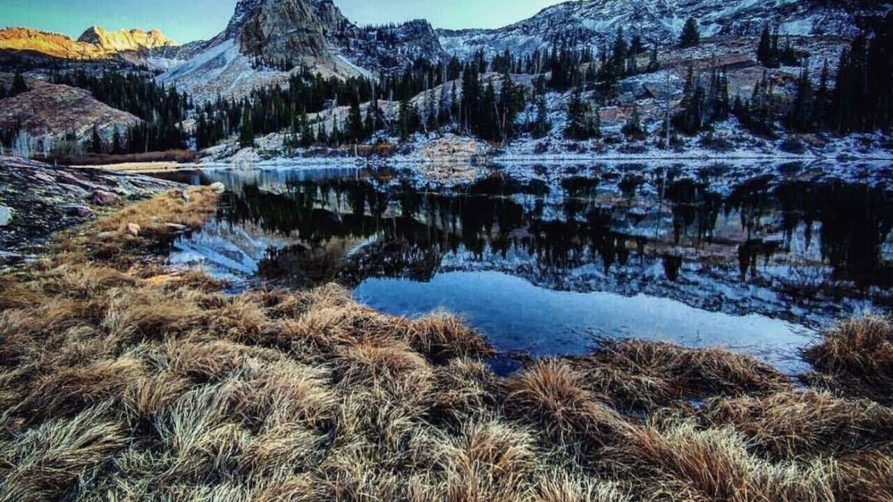 Photo of Others in Snowbird