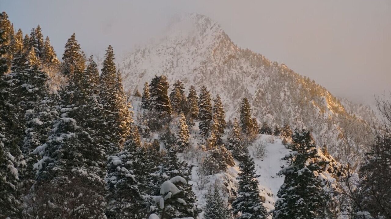 Photo of Others in Snowbird