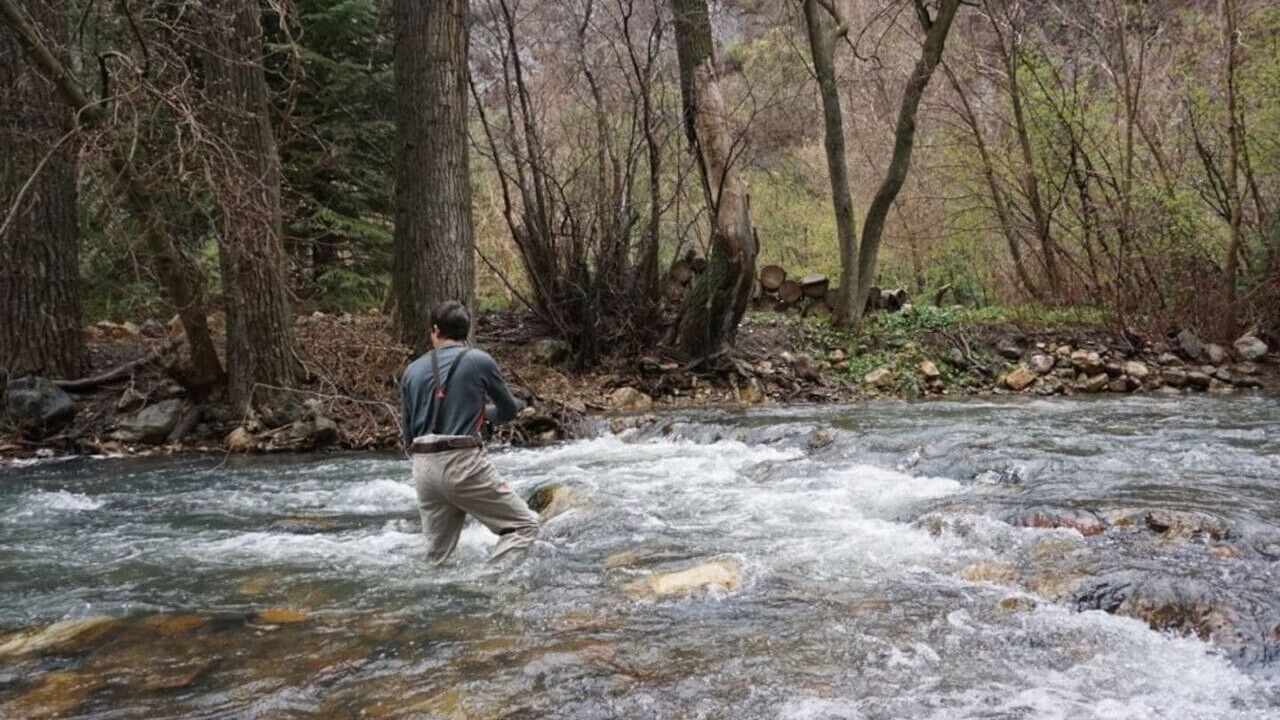 Photo of Others in Snowbird