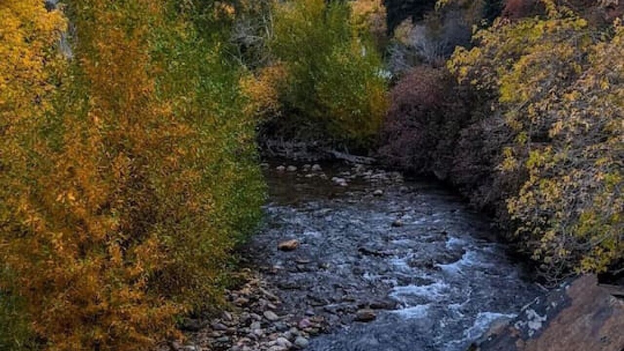 Photo of Others in Snowbird