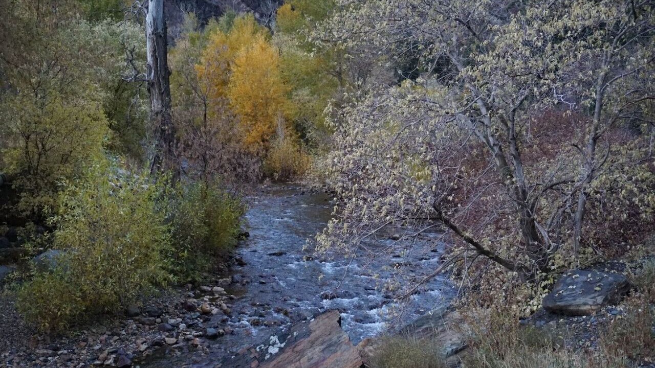 Photo of Others in Snowbird
