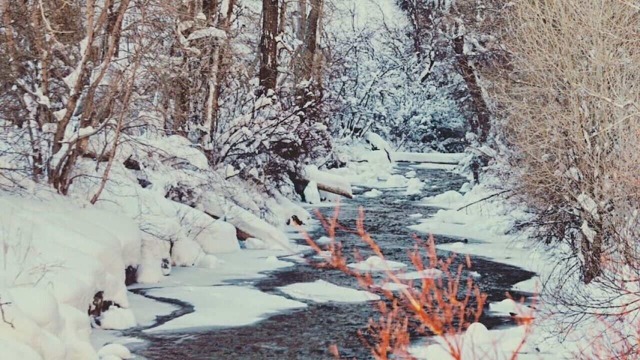 Photo of Others in Snowbird