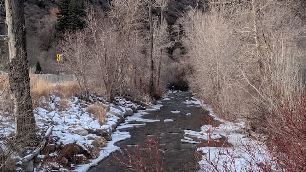 Photo of Others in Snowbird