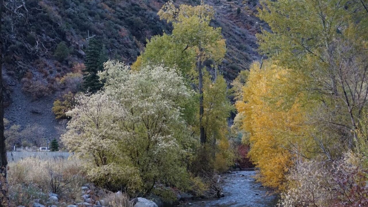 Photo of Others in Snowbird
