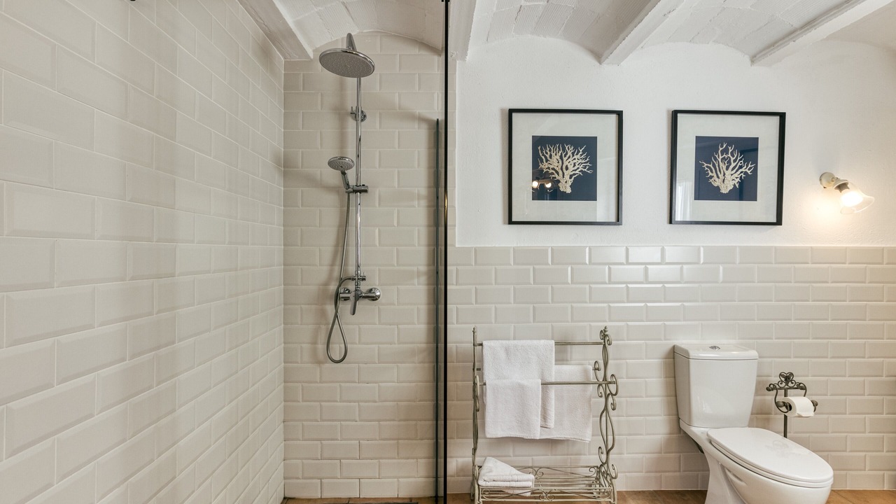 Photo of Bathroom in Llanca
