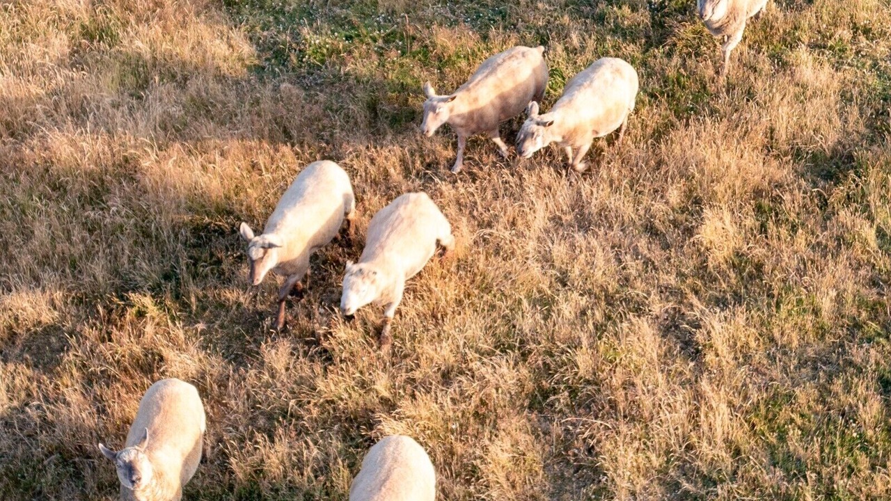 Photo of Others in Sainte-Foy