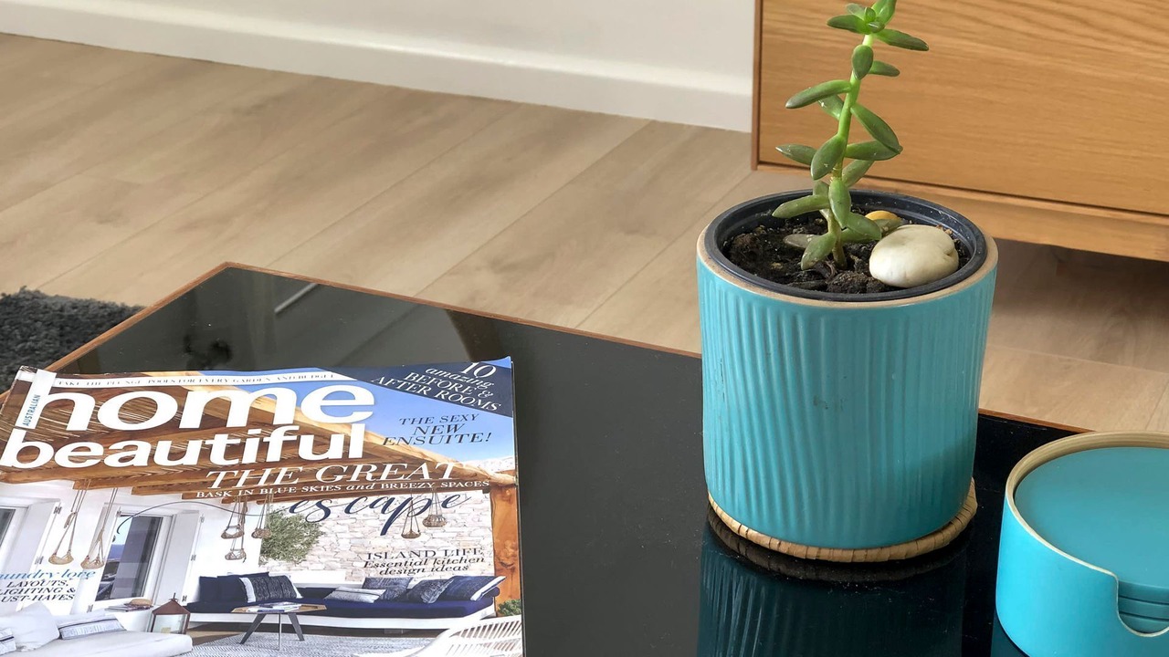 Photo of Others in Budgewoi