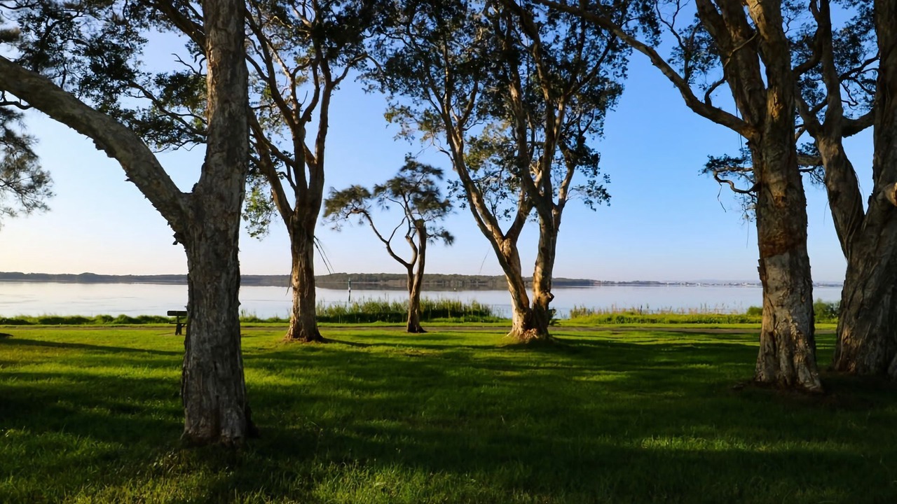 Photo of Others in Budgewoi