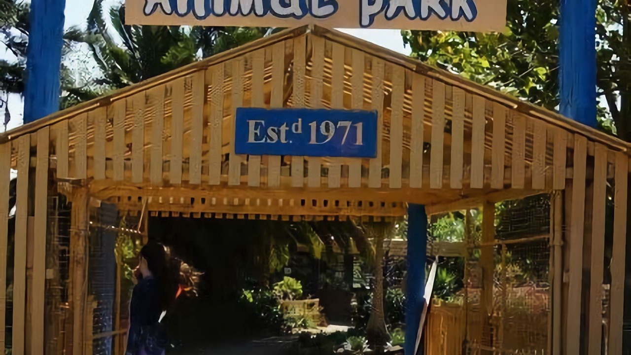 Photo of Outdoor in Surf Beach