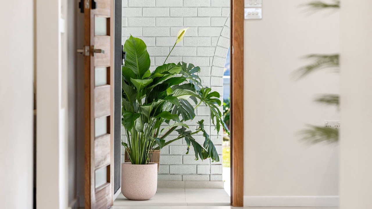 Photo of Others in Buff Point