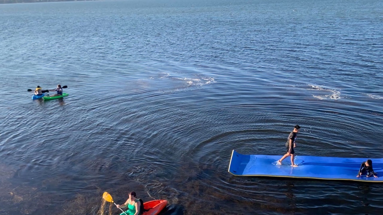 Photo of Others in Toukley