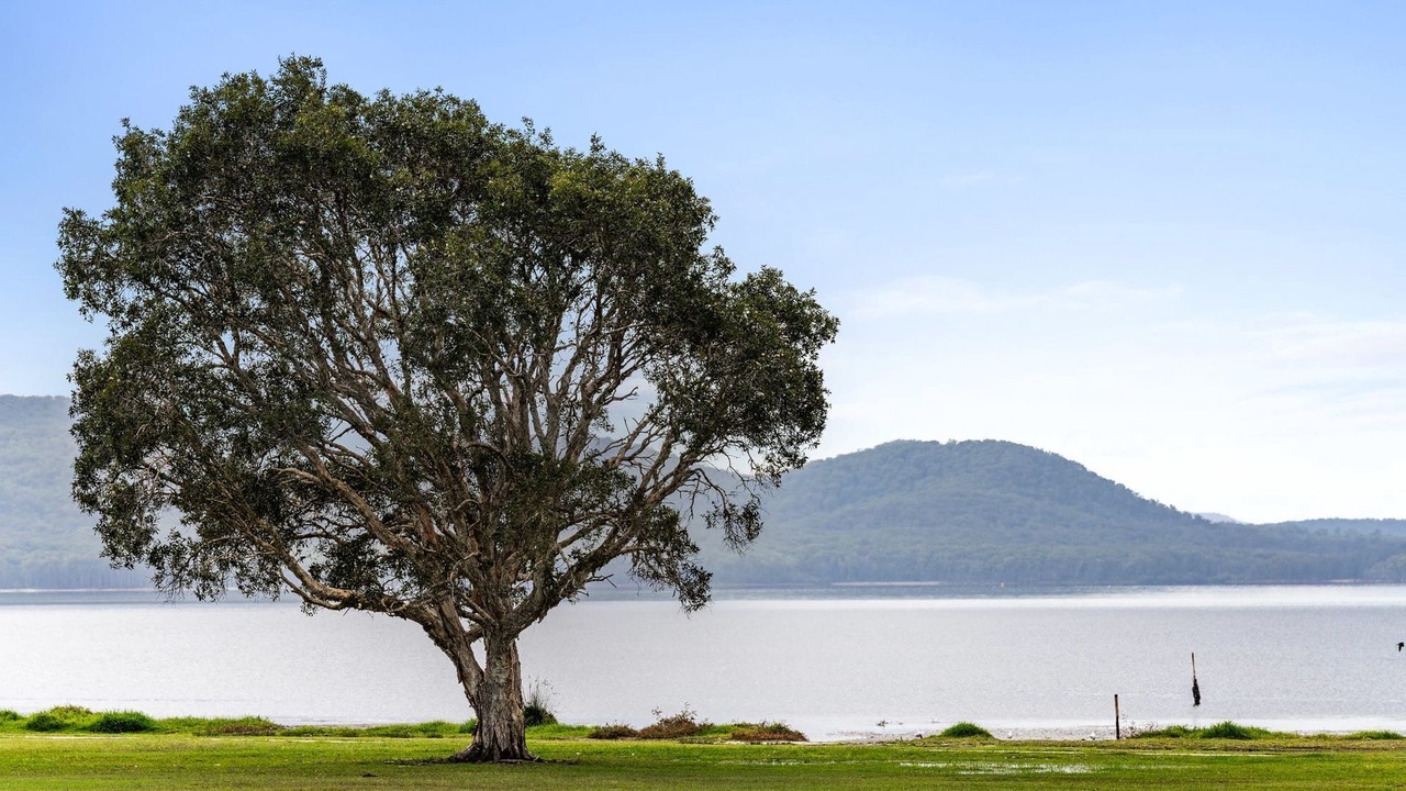 Photo of Others in Lemon Tree Passage
