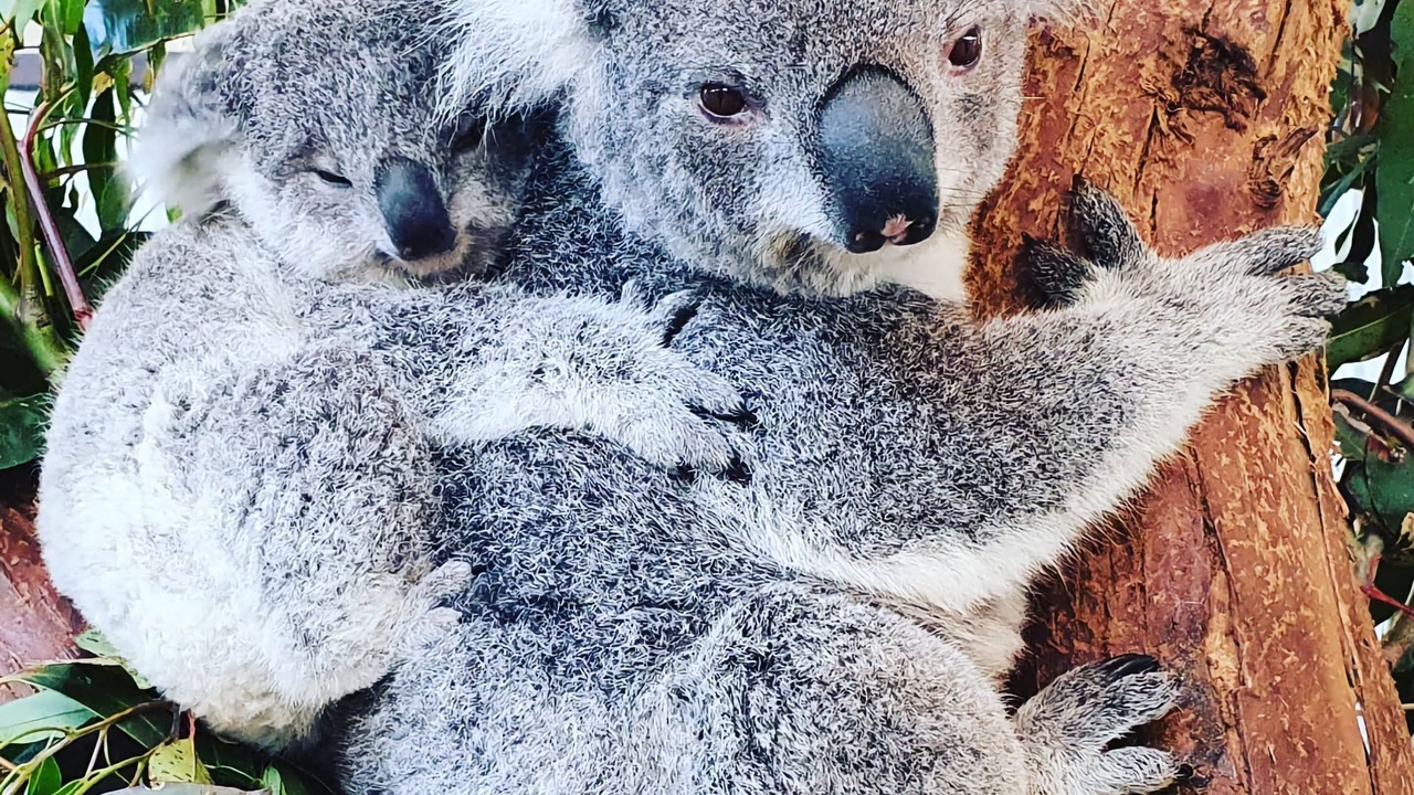 Photo of Bathroom in Lemon Tree Passage