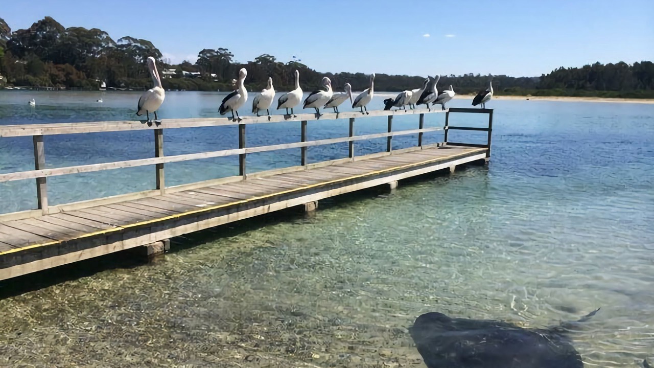 Photo of Outdoor in Broulee