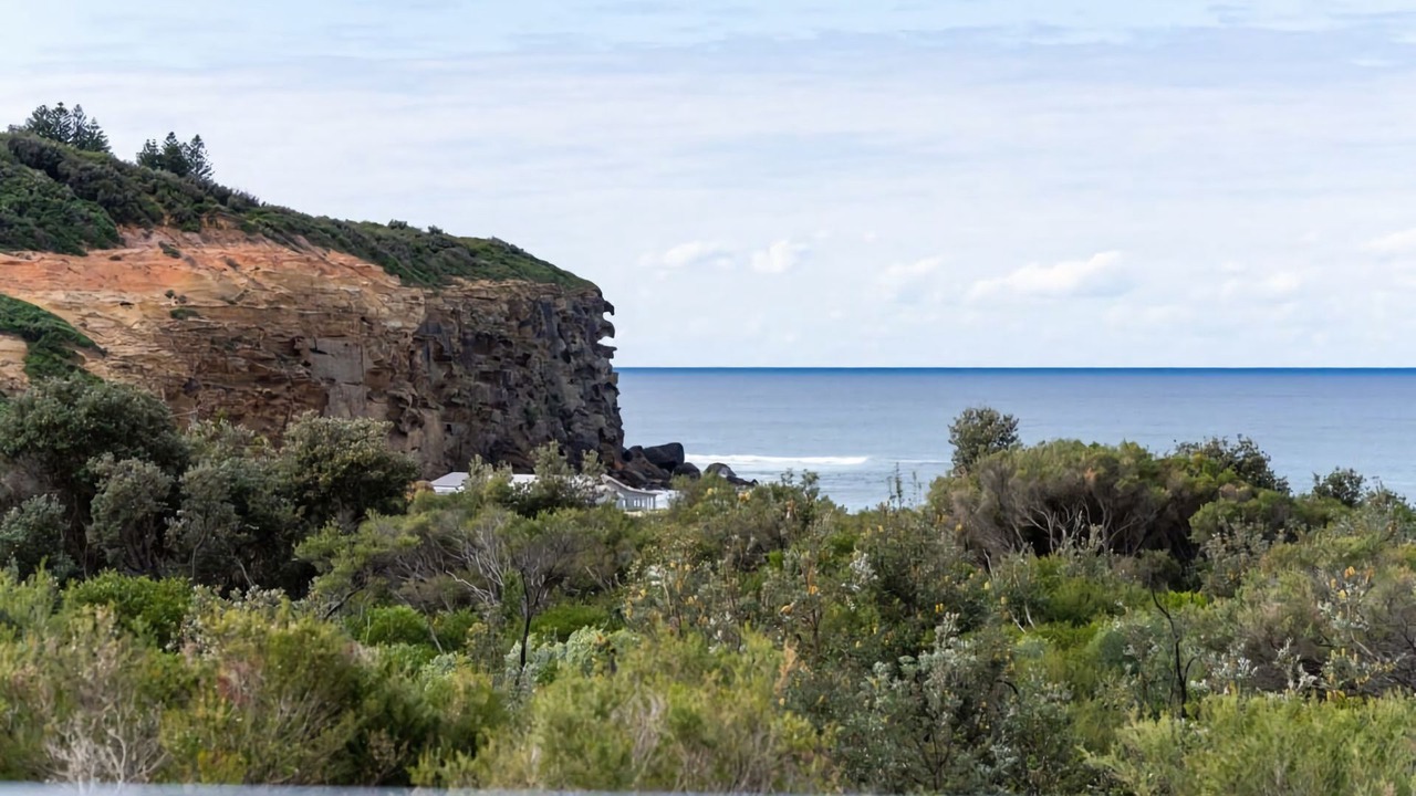 Photo of Others in Redhead