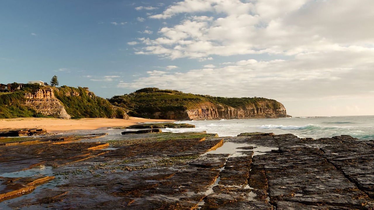 Photo of Others in Collaroy Beach