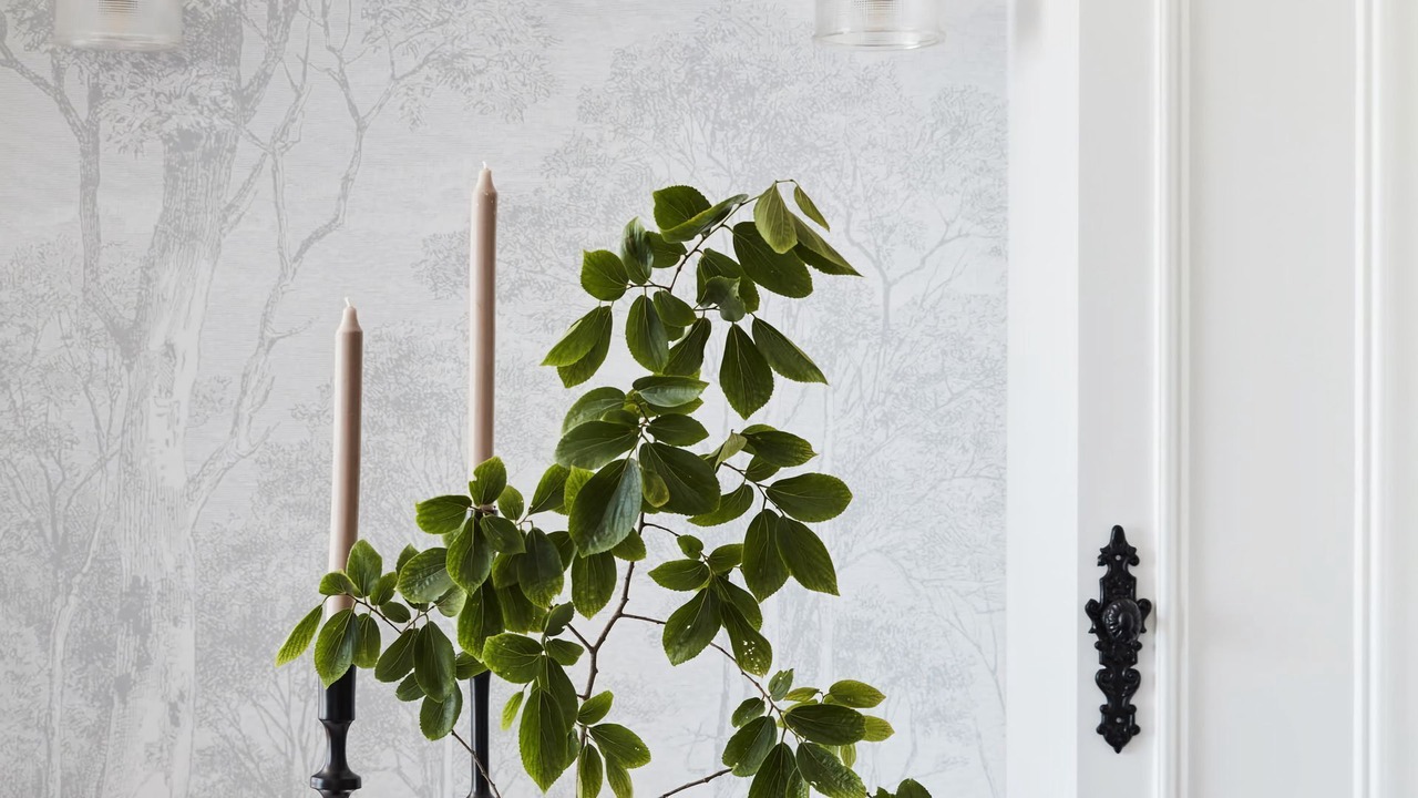 Photo of Others in Darling Point