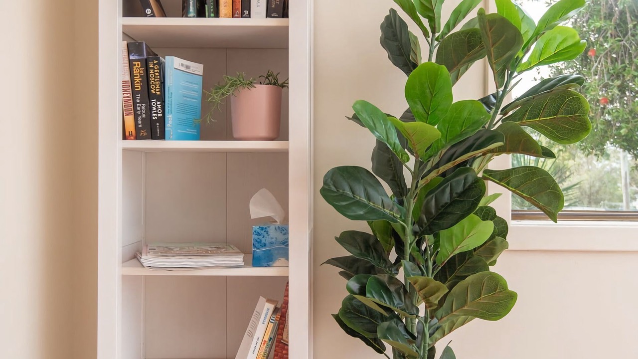 Photo of Others in Malua Bay