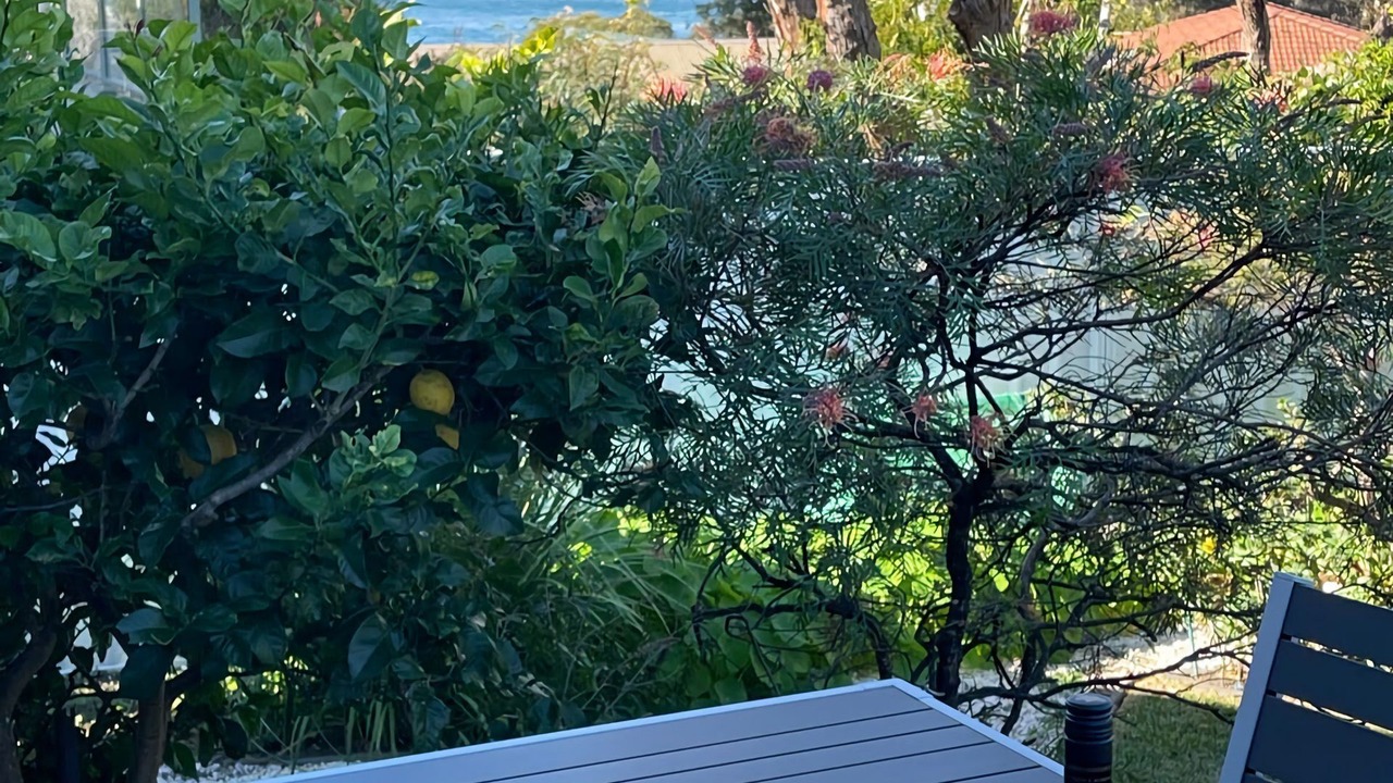 Photo of Outdoor in Malua Bay