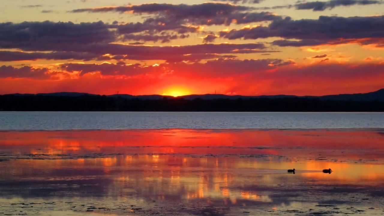 Photo of Others in Toukley