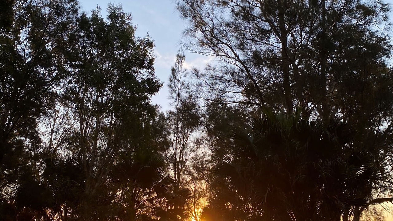 Photo of Outdoor in Toukley