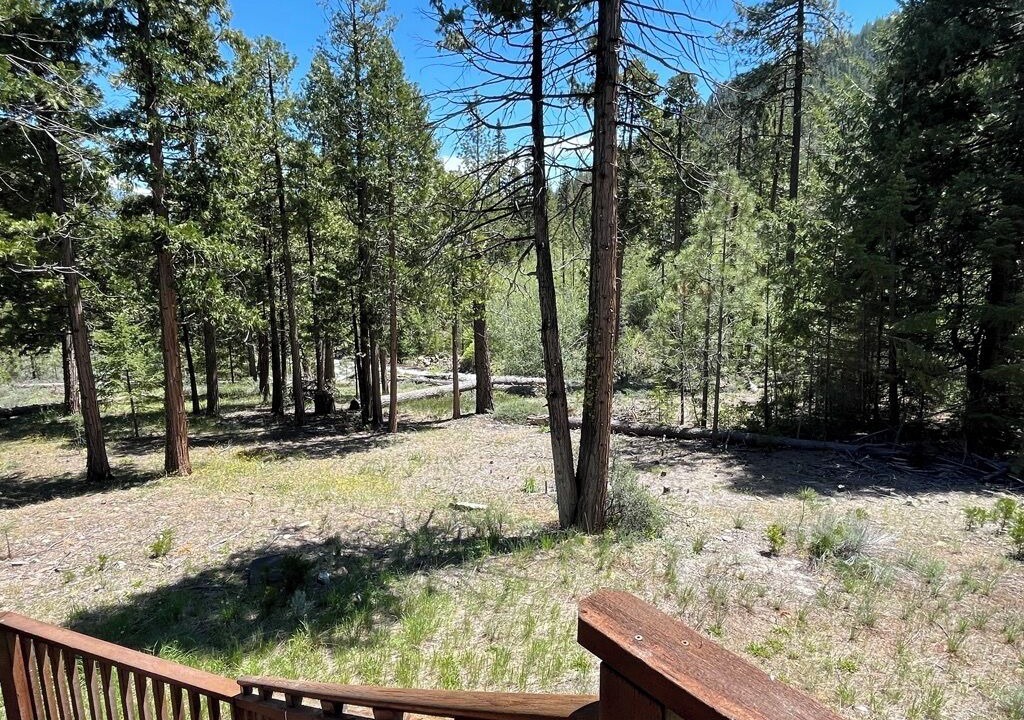 Photo of Outdoor in Weed