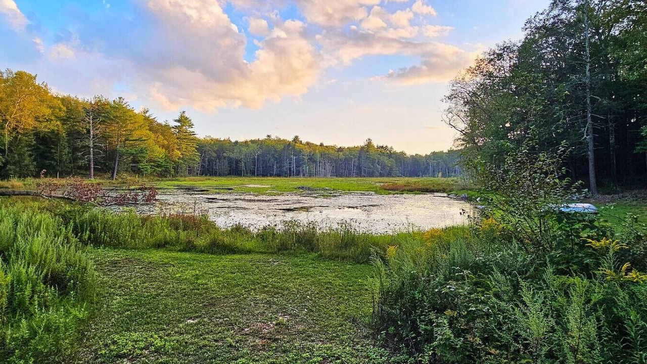 Photo of Others in Cuddebackville