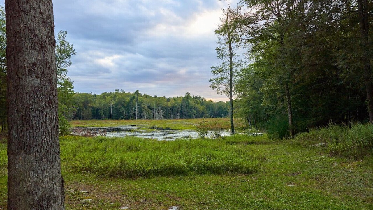 Photo of Others in Cuddebackville