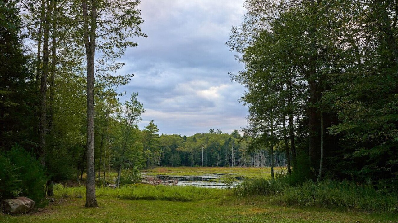 Photo of Others in Cuddebackville