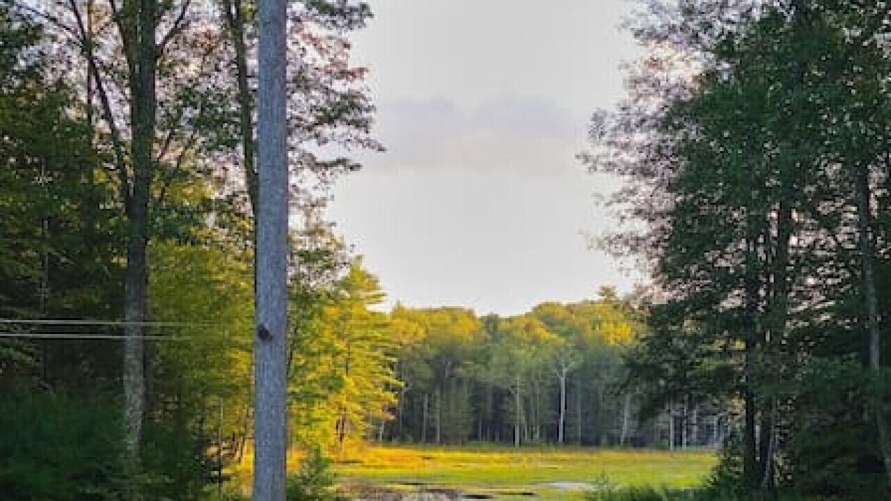 Photo of Others in Cuddebackville